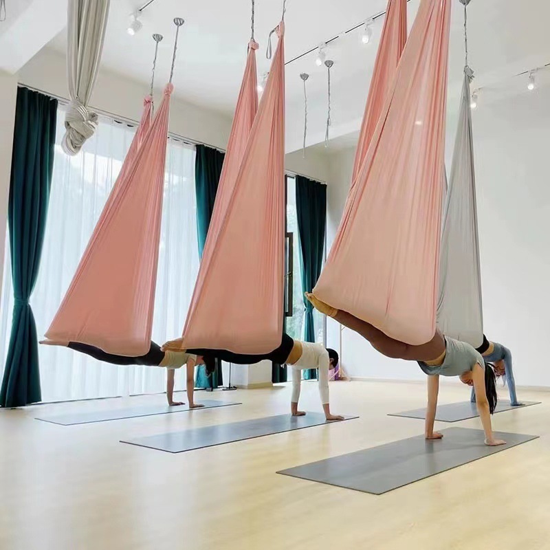 Aerial Yoga Hammock Swing for  - Home Gym Yoga Studio recensione e prezzo
