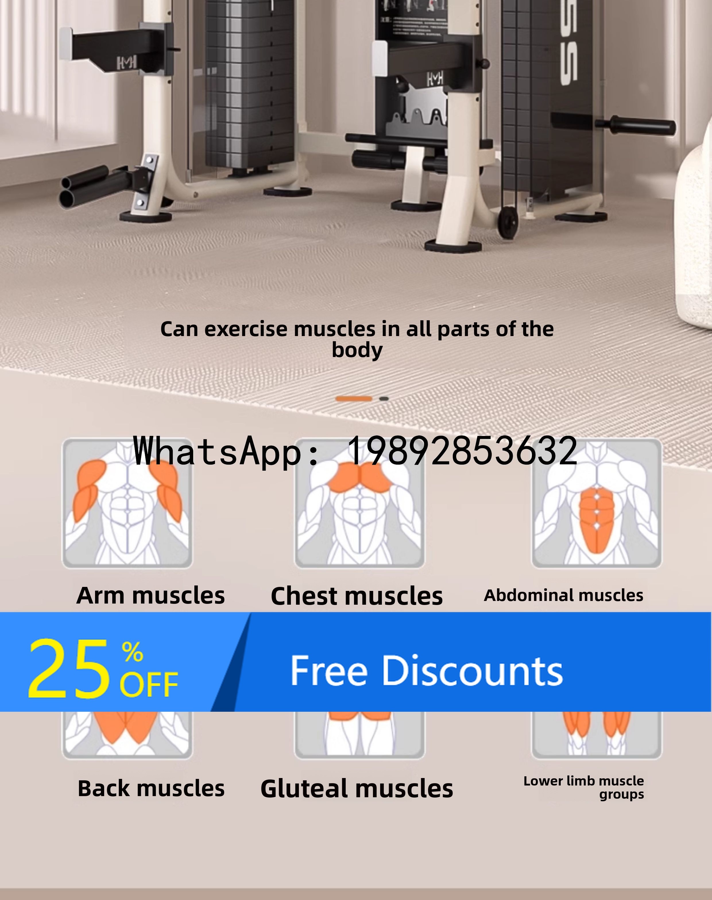 B1 Comprehensive Training Equi - All In One Gym Home Equipment recensione e prezzo