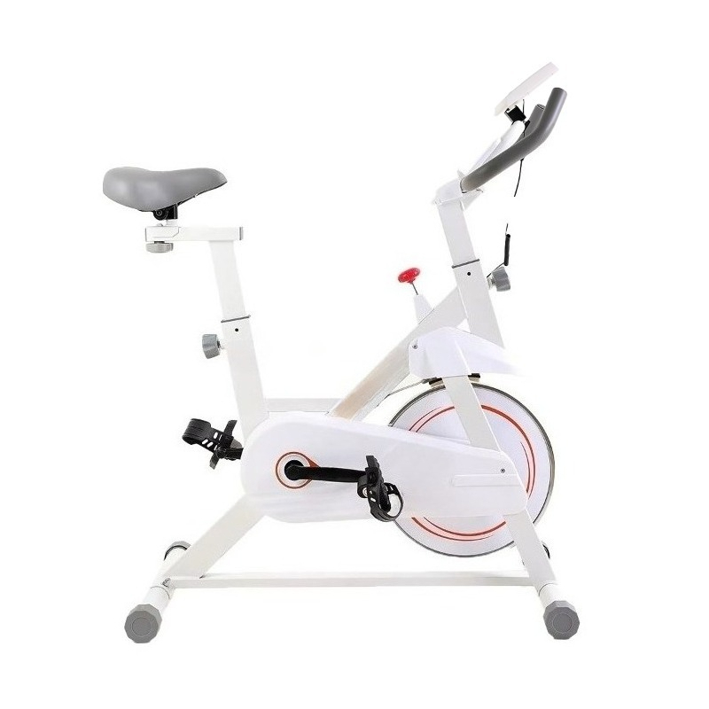 New Professional Spinning Bike - Home Gym Layout recensione e prezzo