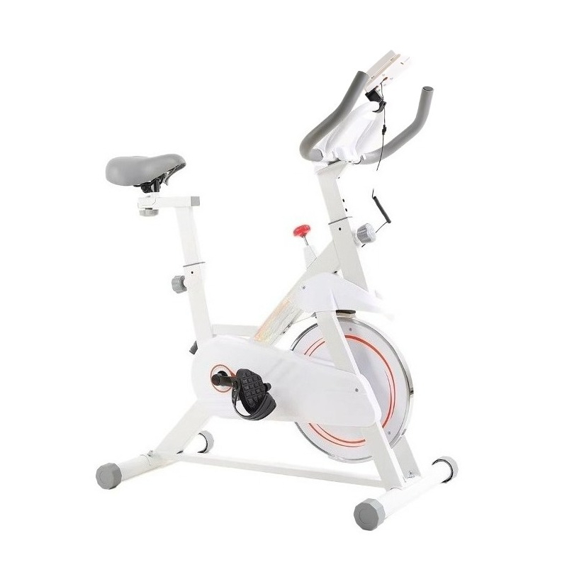 New Professional Spinning Bike - Home Gym Layout recensione e prezzo