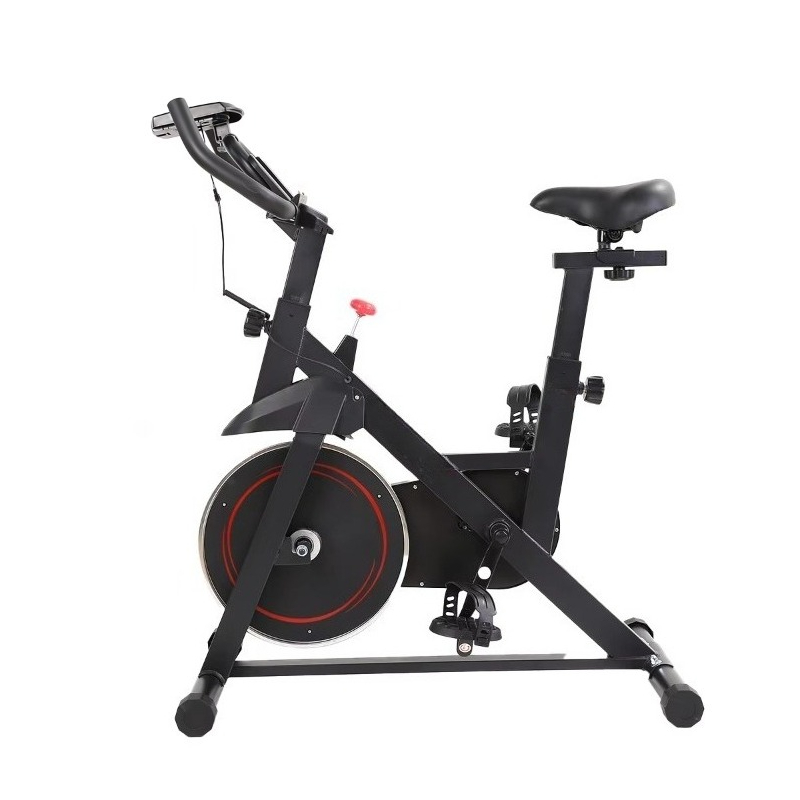 New Professional Spinning Bike - Home Gym Layout recensione e prezzo