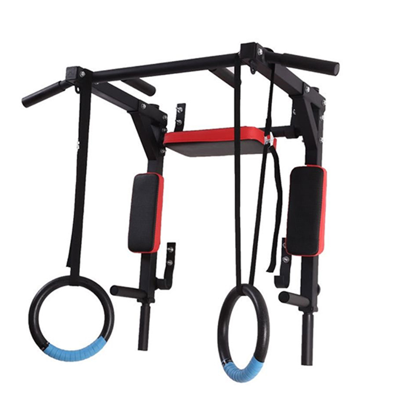 Heavy Duty Wall Mounted Parall - Home Gym Wall recensione e prezzo