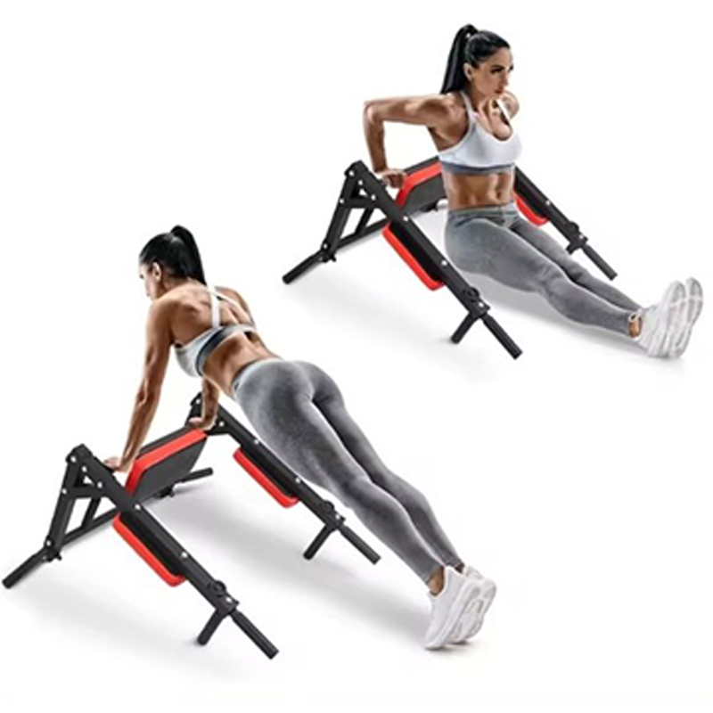 Heavy Duty Wall Mounted Parall - Home Gym Wall recensione e prezzo