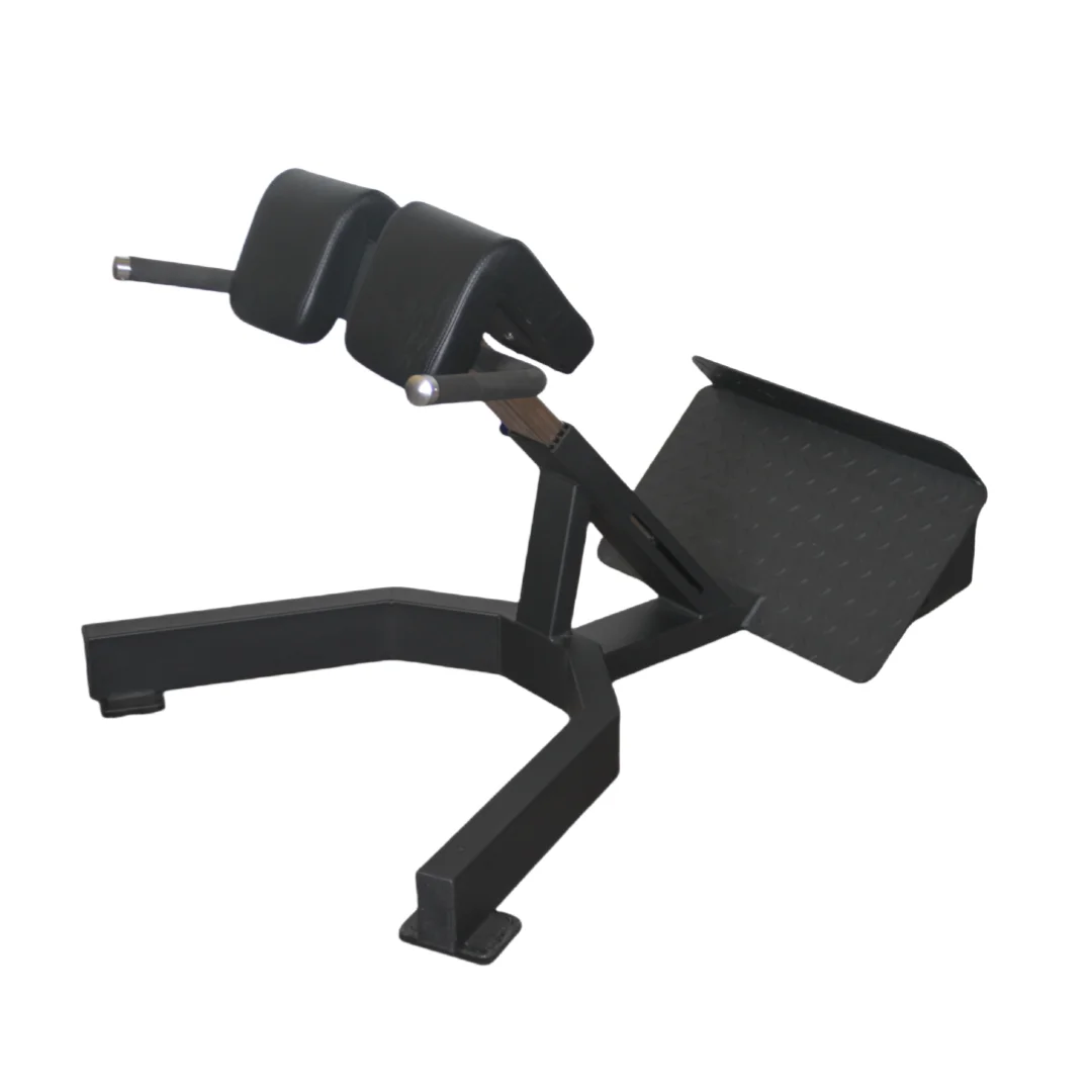 Factory Price Roman Chair Back - Home Gym Price recensione e prezzo