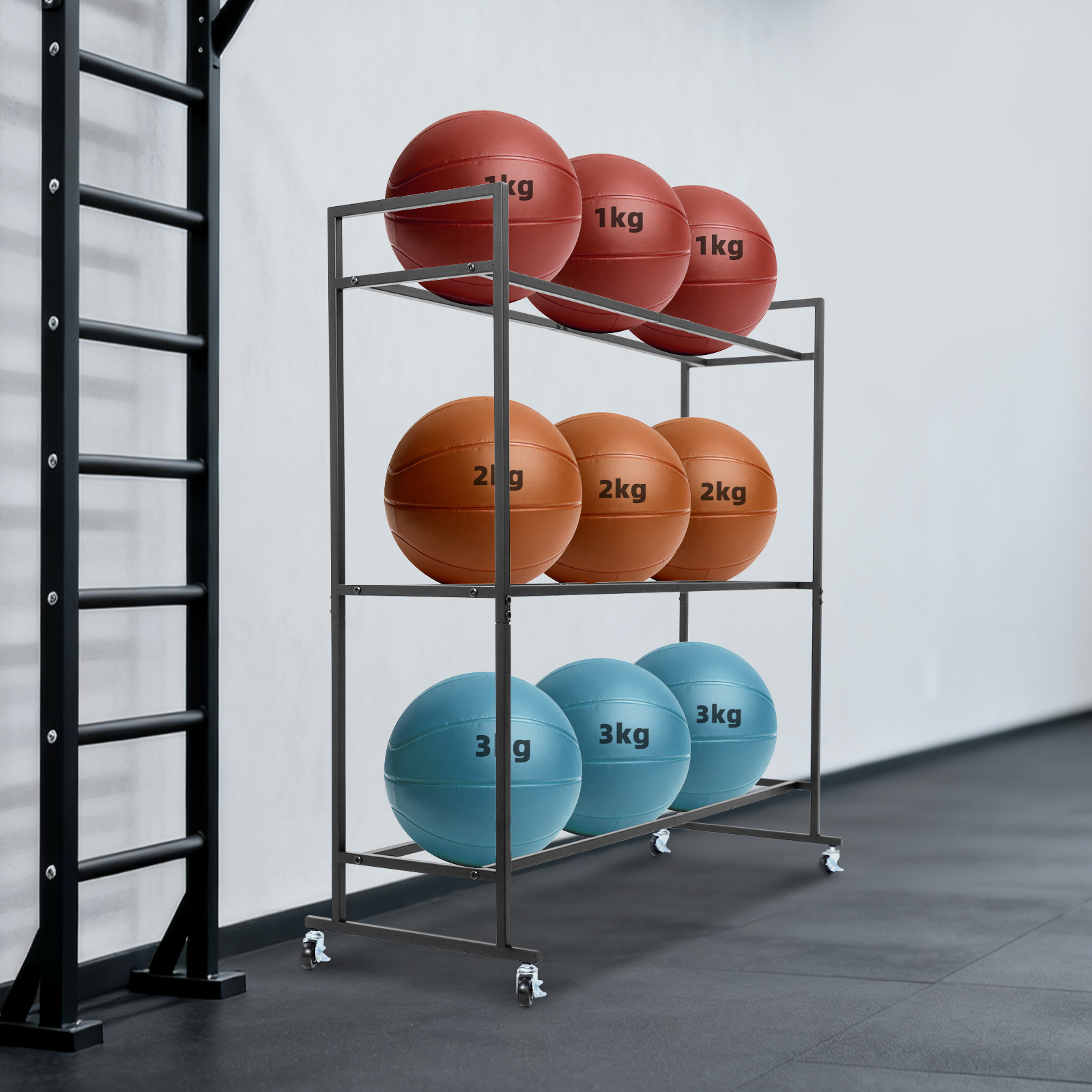 Yoga Ball Holder Storage Stand - Home Gym Yoga Studio recensione e prezzo